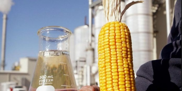 Mato Grosso terá nova usina de etanol