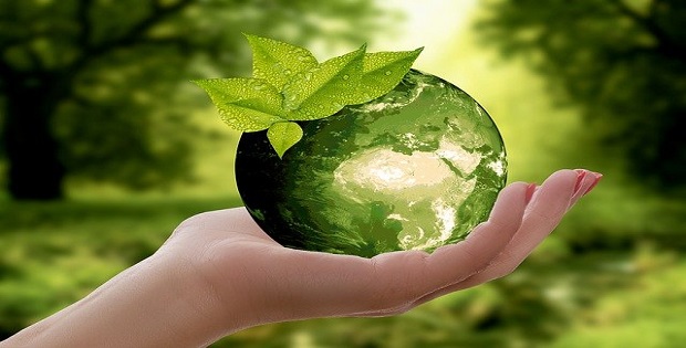 O desenvolvimento sustentável é cada vez mais importante
